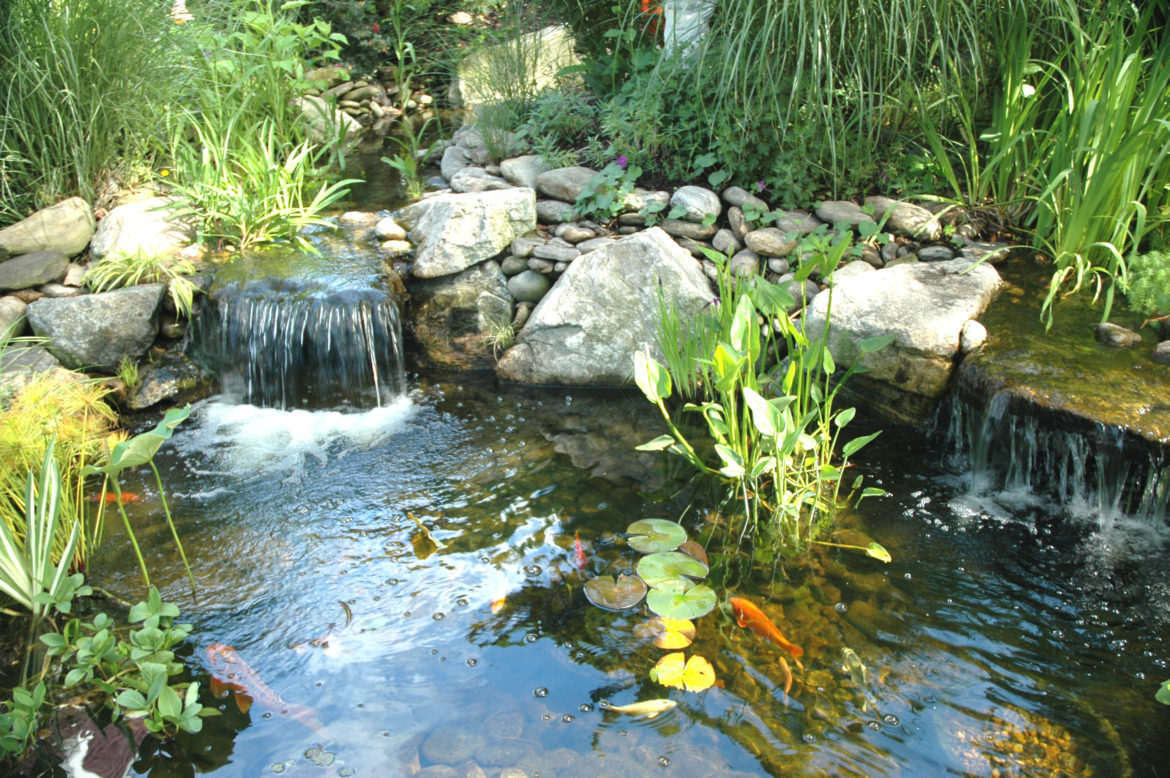 4 типа фильтров для искусственного пруда