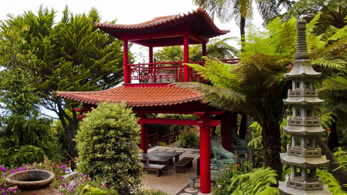 декоративный сад в восточном стиле